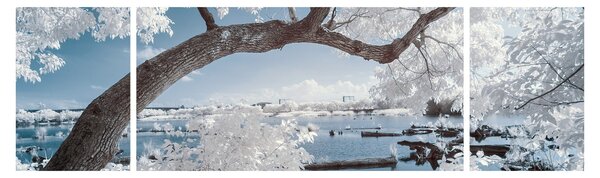 Obraz ośnieżonego drzewa nad wodą (170x50 cm)