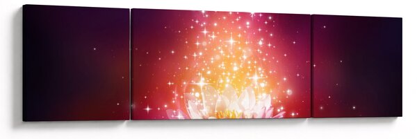 Obraz kwiatu lotosu (170x50 cm)