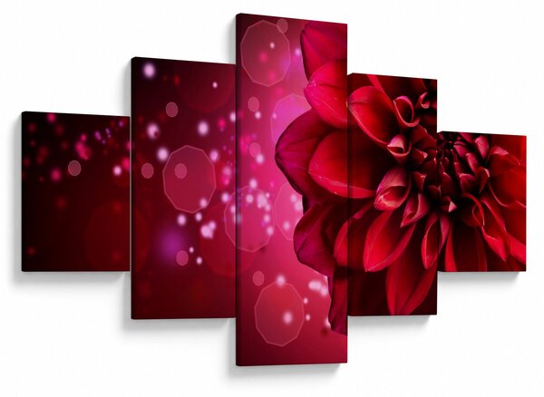 Obraz czerwonego kwiatu (125x70 cm)