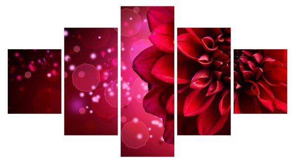 Obraz czerwonego kwiatu (125x70 cm)