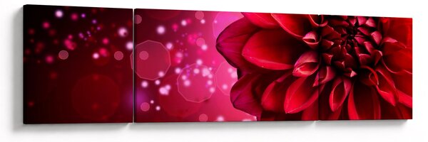 Obraz czerwonego kwiatu (170x50 cm)