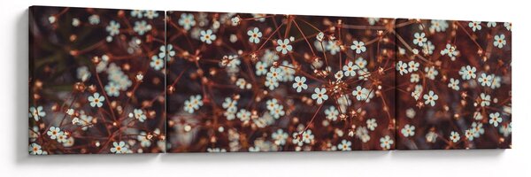 Obraz kwiatu niezapominajki (170x50 cm)