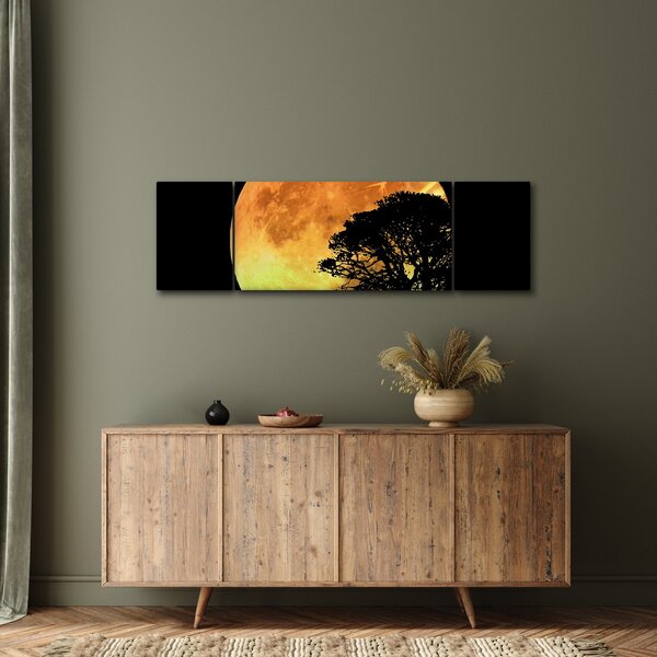 Obraz cieni w świetle księżyca (170x50 cm)
