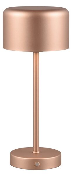 Lampa stołowa LED w kolorze miedzi ze ściemniaczem (wys. 30 cm) Jeff – Reality
