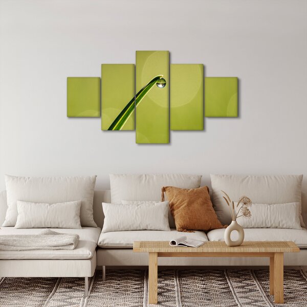 Obraz kropli wody na trawie (125x70 cm)