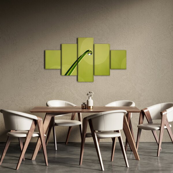 Obraz kropli wody na trawie (125x70 cm)