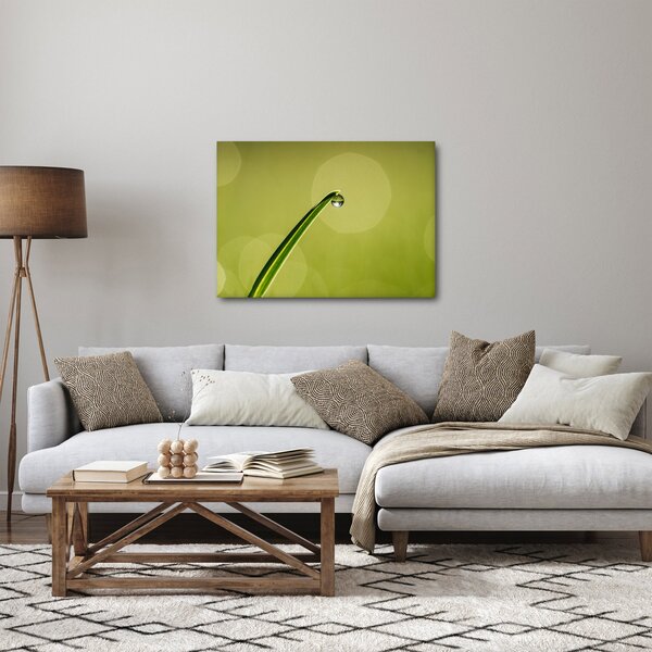 Obraz kropli wody na trawie (70x50 cm)