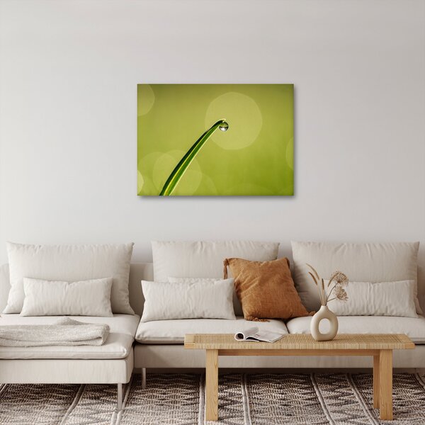 Obraz kropli wody na trawie (70x50 cm)