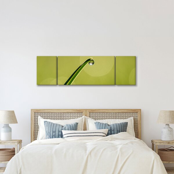 Obraz kropli wody na trawie (170x50 cm)