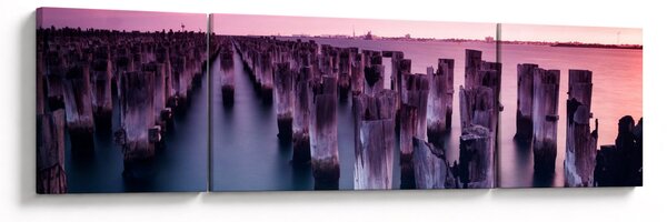 Obraz drewnianych palików (170x50 cm)