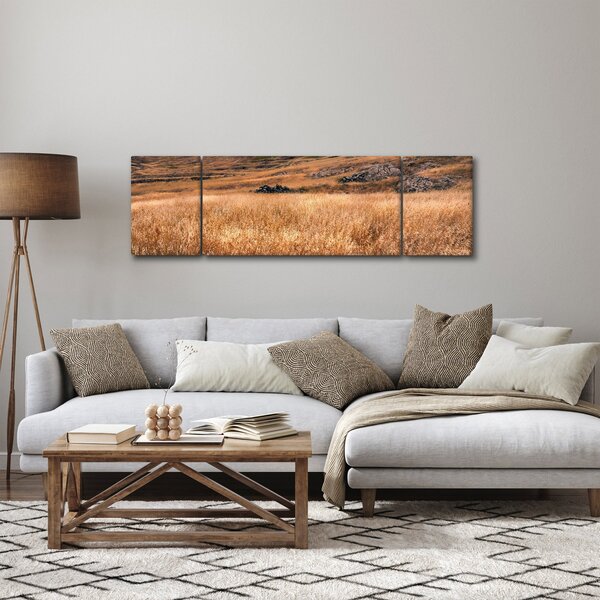 Obraz pola (170x50 cm)