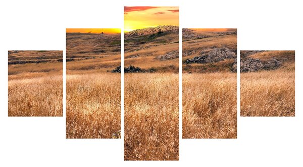 Obraz pola (125x70 cm)