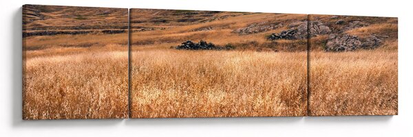Obraz pola (170x50 cm)