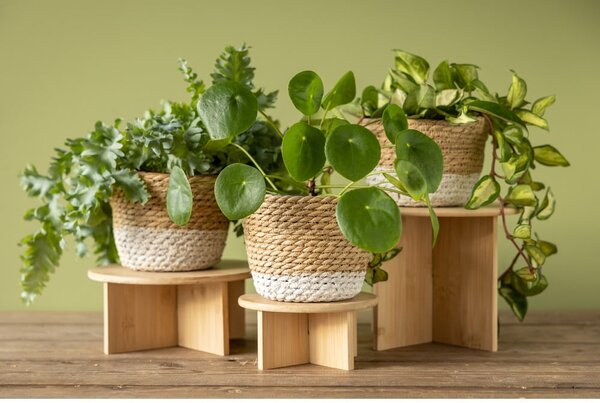 Bambusowy kwietnik ø 18 cm – Esschert Design