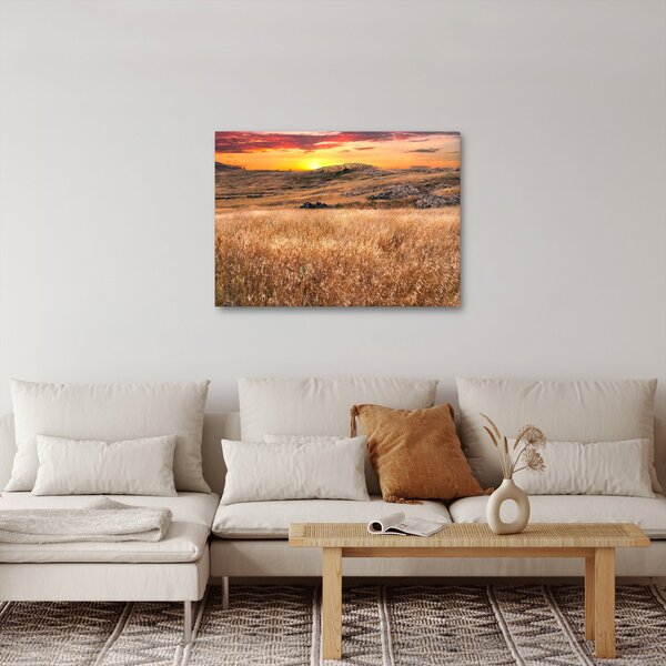 Obraz pola (70x50 cm)