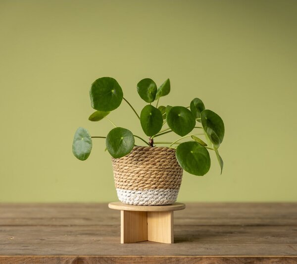 Bambusowy kwietnik ø 18 cm – Esschert Design
