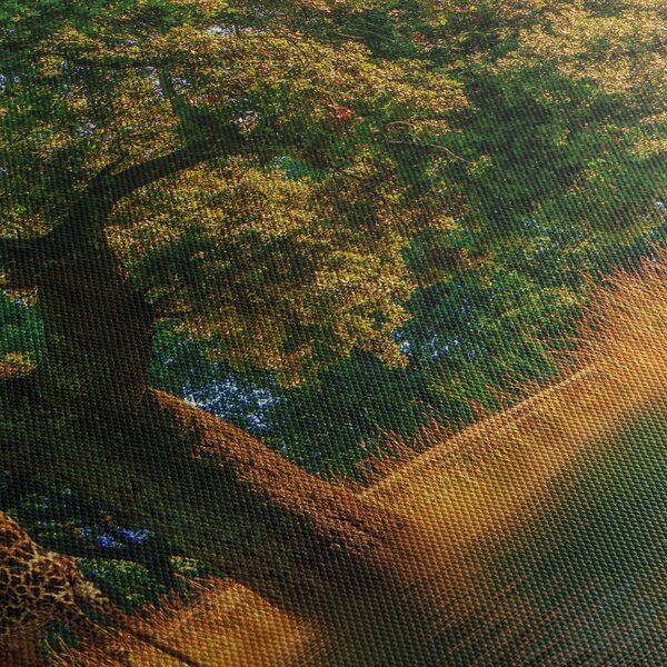 Obraz żyraf w naturze (z zegarem) (90x30 cm)