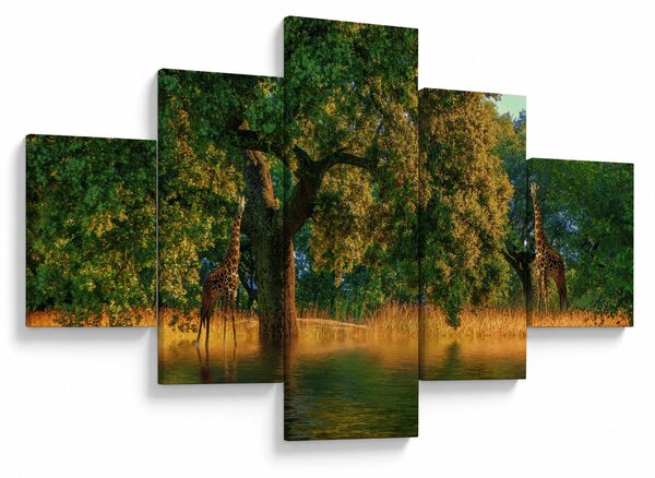 Obraz żyraf w naturze (125x70 cm)