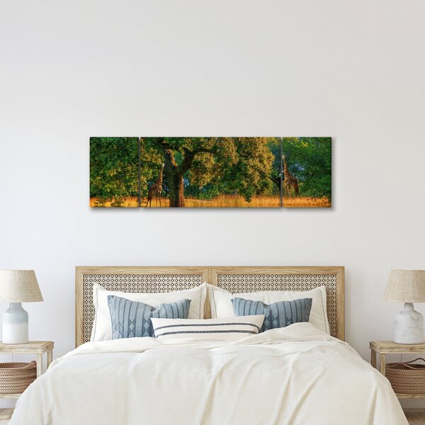 Obraz żyraf w naturze (170x50 cm)