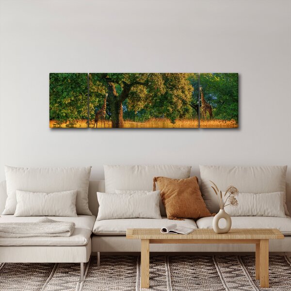 Obraz żyraf w naturze (170x50 cm)