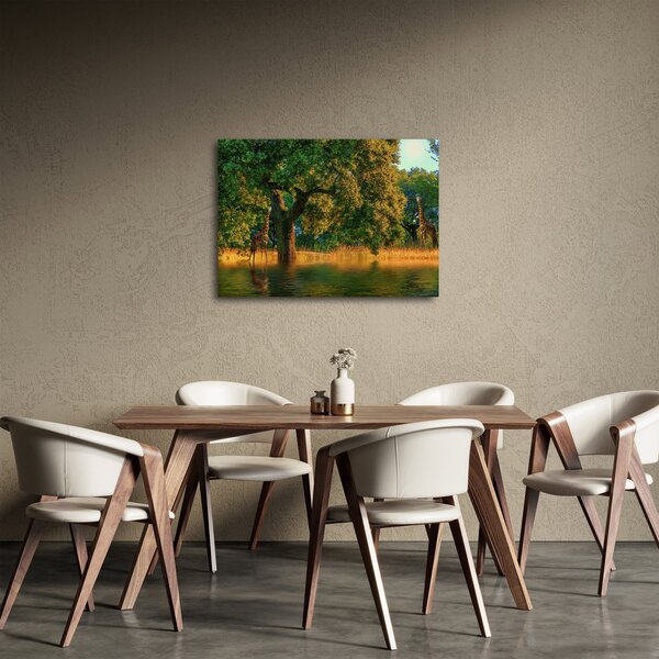 Obraz żyraf w naturze (70x50 cm)