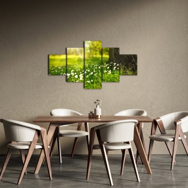 Obraz polany i kwiatów (125x70 cm)