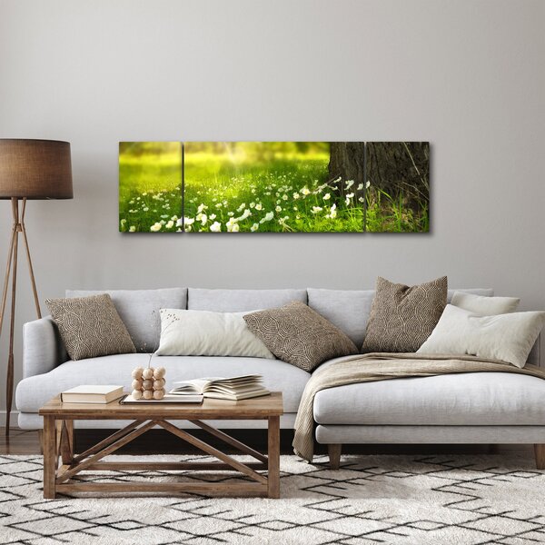 Obraz polany i kwiatów (170x50 cm)