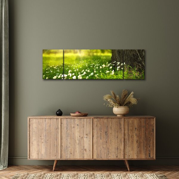 Obraz polany i kwiatów (170x50 cm)