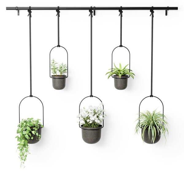 Plastikowe wiszące osłonki na doniczki na zioła zestaw 5 szt. ø 7,5 cm Triflora – Umbra