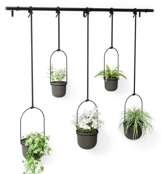 Plastikowe wiszące osłonki na doniczki na zioła zestaw 5 szt. ø 7,5 cm Triflora – Umbra