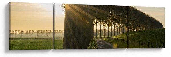 Obraz alei (170x50 cm)