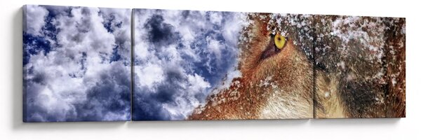 Obraz wilka (170x50 cm)