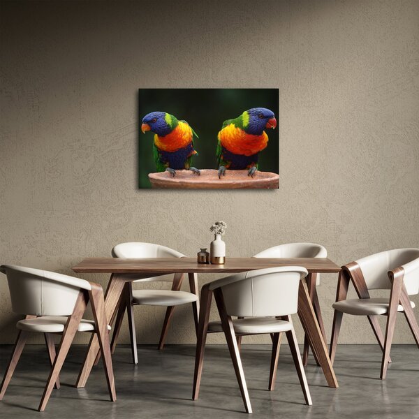 Obraz papug (70x50 cm)