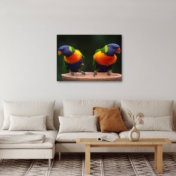 Obraz papug (70x50 cm)