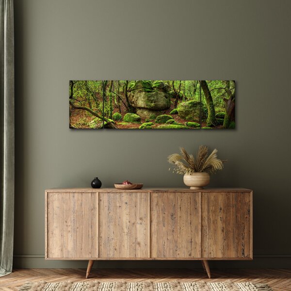 Obraz magicznego lasu (170x50 cm)
