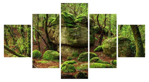 Obraz magicznego lasu (125x70 cm)