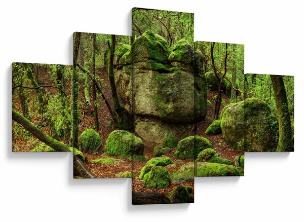 Obraz magicznego lasu (125x70 cm)