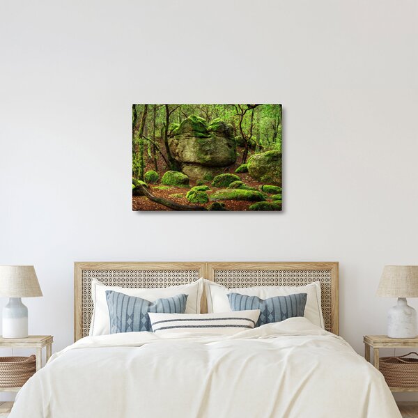 Obraz magicznego lasu (70x50 cm)