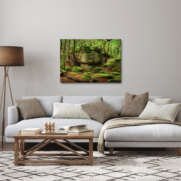 Obraz magicznego lasu (70x50 cm)