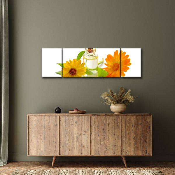 Obraz kwiatowego oleju (170x50 cm)
