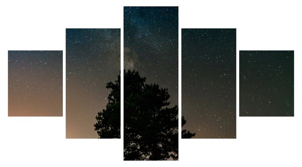 Obraz nocnego nieba z drzewami (125x70 cm)