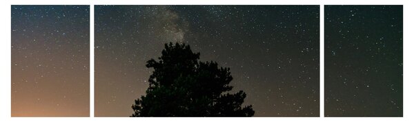Obraz nocnego nieba z drzewami (170x50 cm)