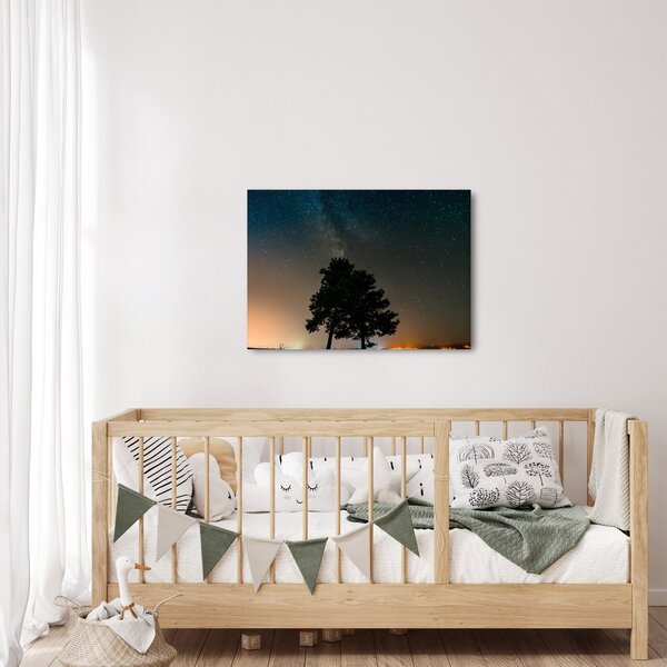 Obraz nocnego nieba z drzewami (70x50 cm)