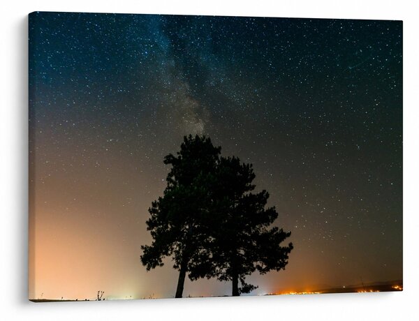 Obraz nocnego nieba z drzewami (70x50 cm)