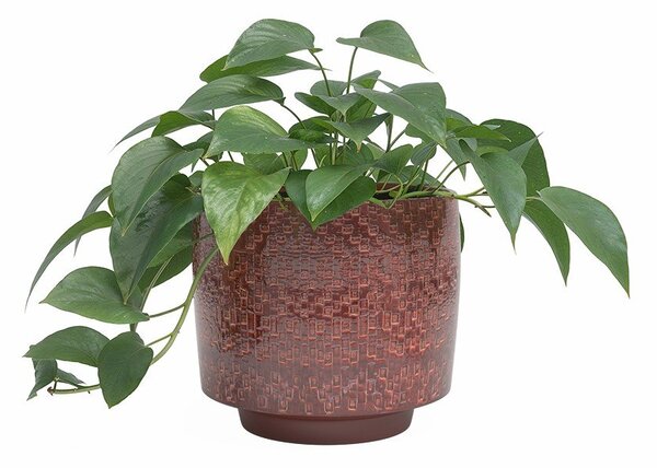 Ceramiczna ręcznie wykonana osłonka na doniczkę ø 21 cm Minerva – Artevasi