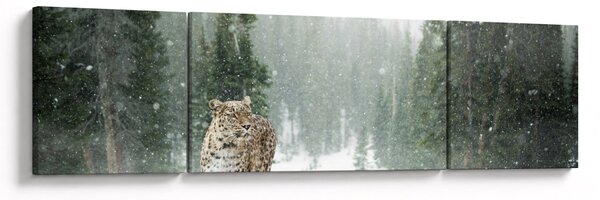 Obraz lamparta na śniegu (170x50 cm)