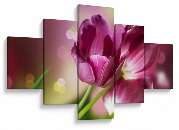 Obraz różowych tulipanów (125x70 cm)