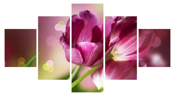 Obraz różowych tulipanów (125x70 cm)