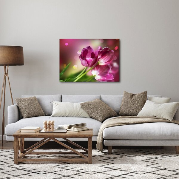 Obraz różowych tulipanów (70x50 cm)