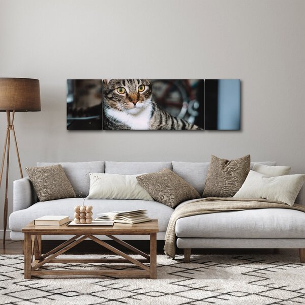 Obraz kota (170x50 cm)